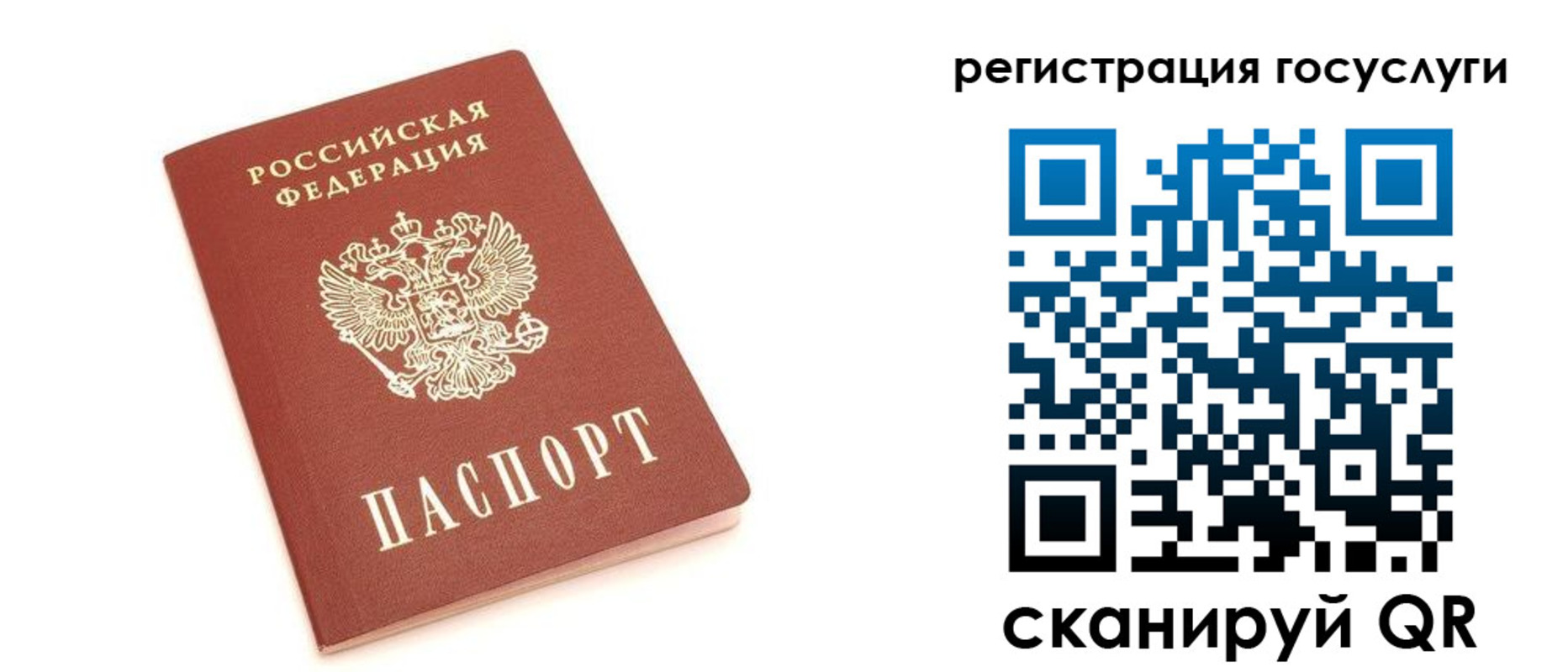 прописка 2025 в Александровске-Сахалинском